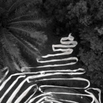 Captura de pantalla 2026-03-03 a las 12.31.28